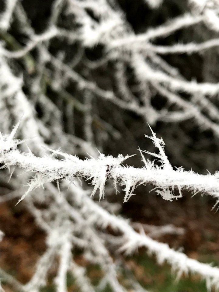 Icecristals, Ice, Winter
