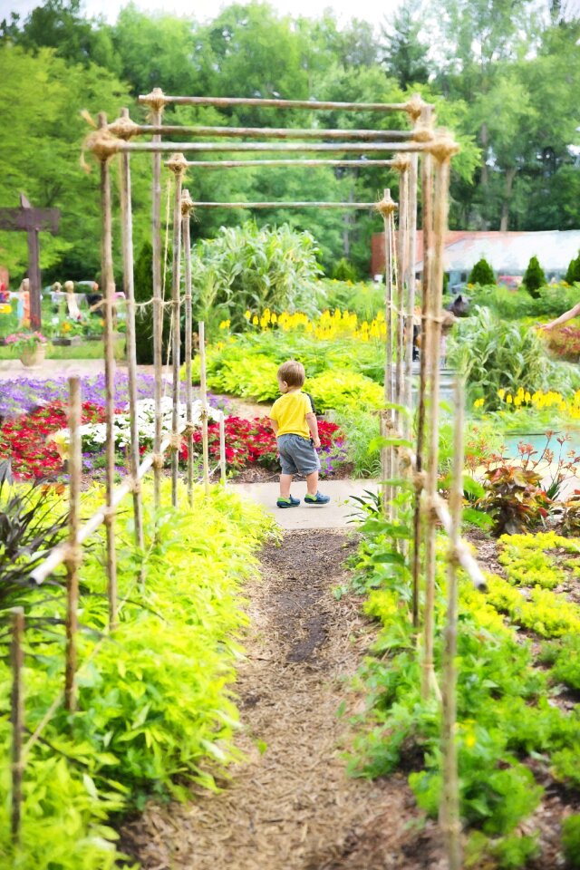 Summer yard outdoor