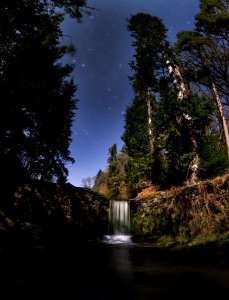 waterfall in the middle of the forest photo