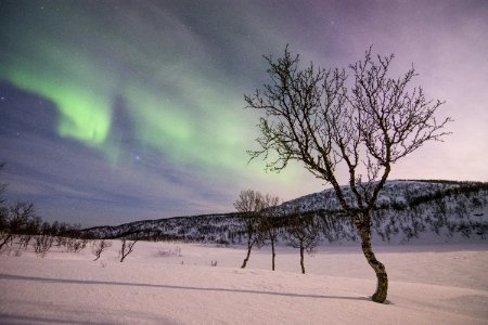 Norway, Harstad, Aurora