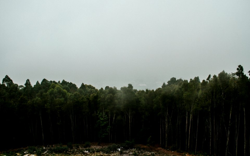 Mosteiro nossa senhora da assunao, Monte crdova, Portugal