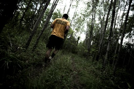 Path, Trail, Mountain