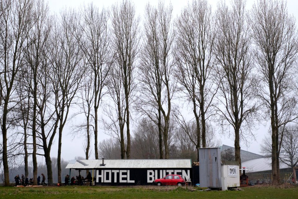 Amsterdam, Netherland, Trees