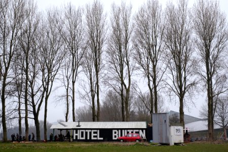 Amsterdam, Netherland, Trees