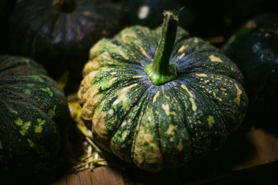 Spooky, Plants, Texture