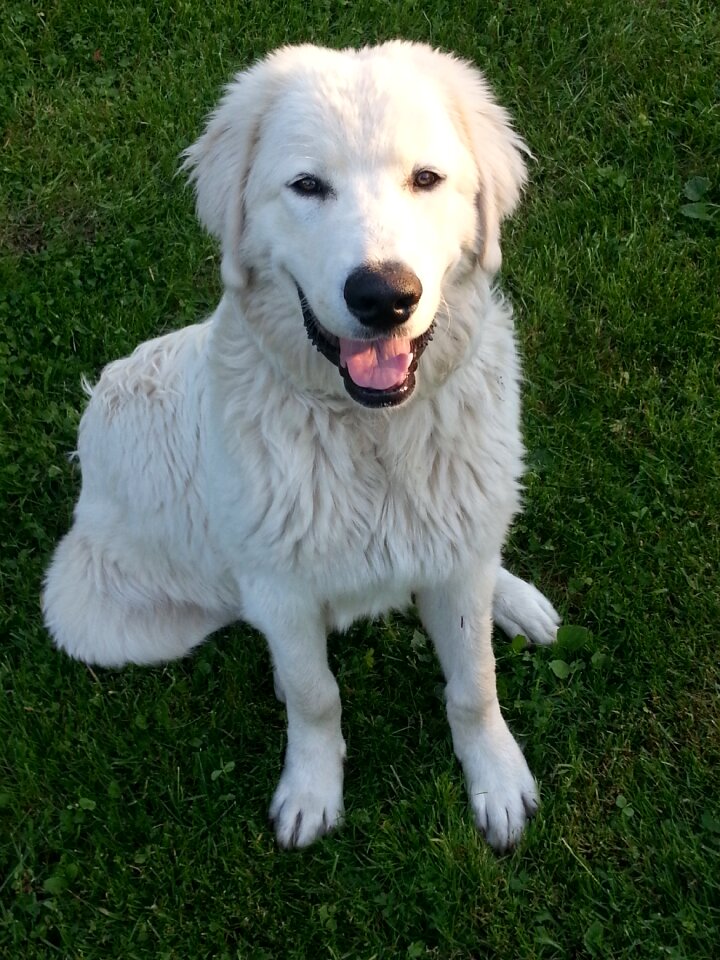 Smile sit watchman