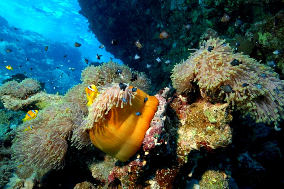 Under water diving equipment beneath the surface