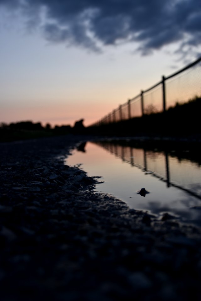 Sunset, Reflection, Puddle
