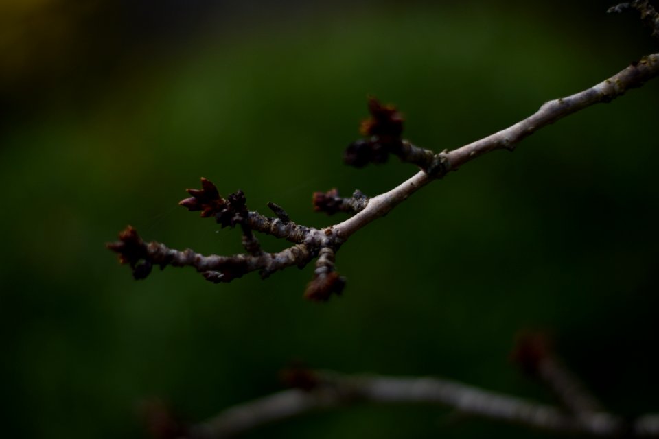 Whitchurch, United kingdom, Blur
