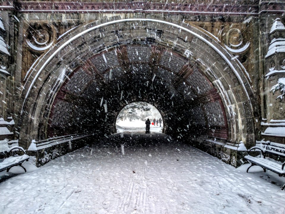 New york, United states, Prospect park