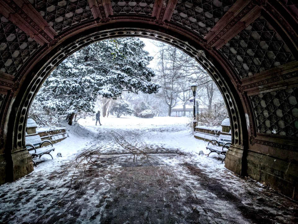 Prospect lefferts gardens, New york, United states
