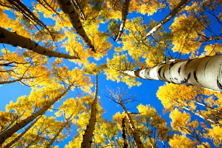 Aspen, United states, Sky