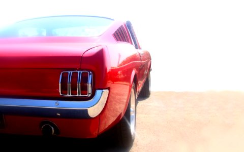 Ford, Mustang, Fastback photo