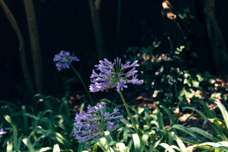 Barcelona, Spanien, Nature