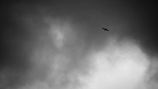 Angle tarn, Penrith, United kingdom photo