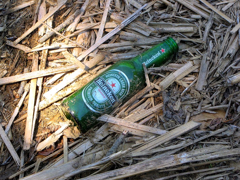Beer, Litter, Environment