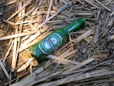 Beer, Litter, Environment