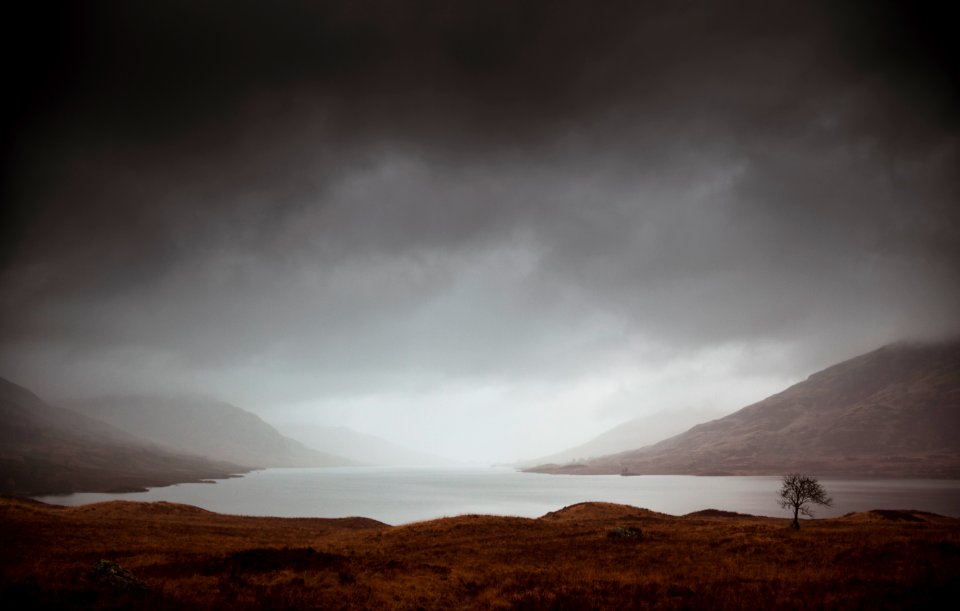 Grey, Loch arklet, Stirling