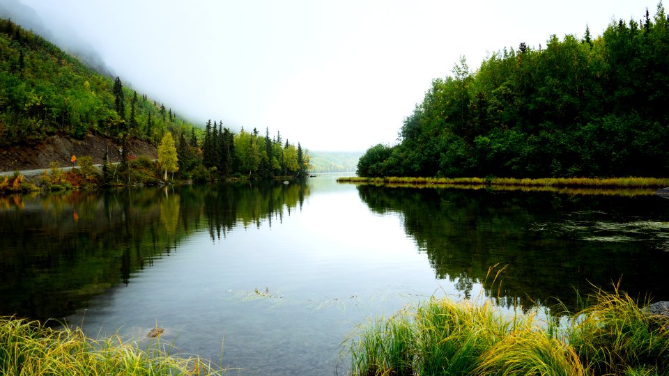 photo taken near body of water surrounded with trees photo