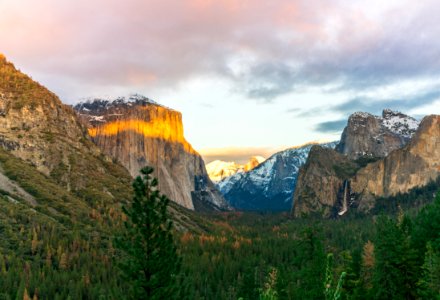 green trees surrounded with rock formations photo