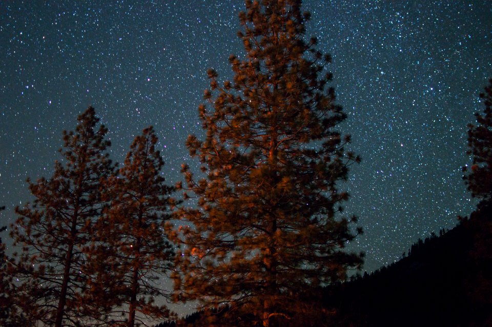 Stars, Yosemite, Trees