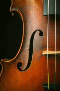 brown violin photo