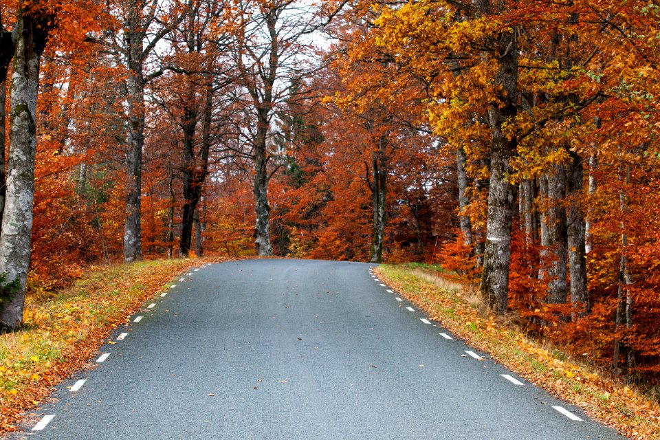 Getaryggarna  scenic, Heritage route, Vrnamo