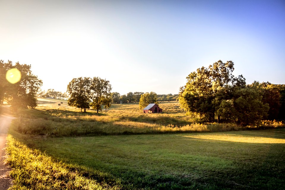 Norene, United states, Sunset