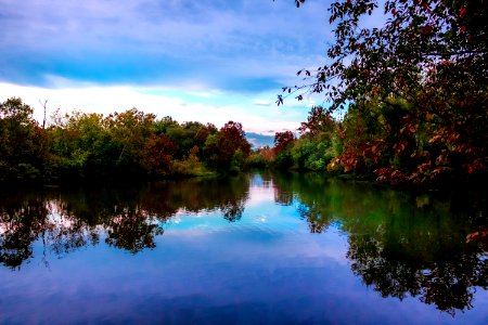 Trees, River, Sunset
