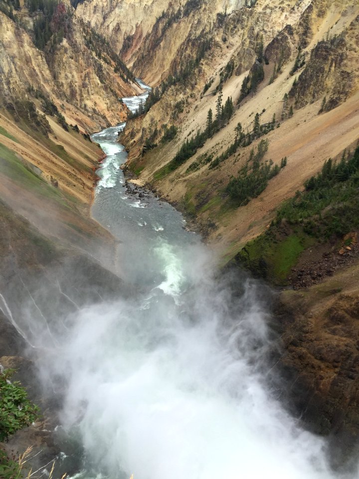 Yellowstone national park, Wyoming, United states photo