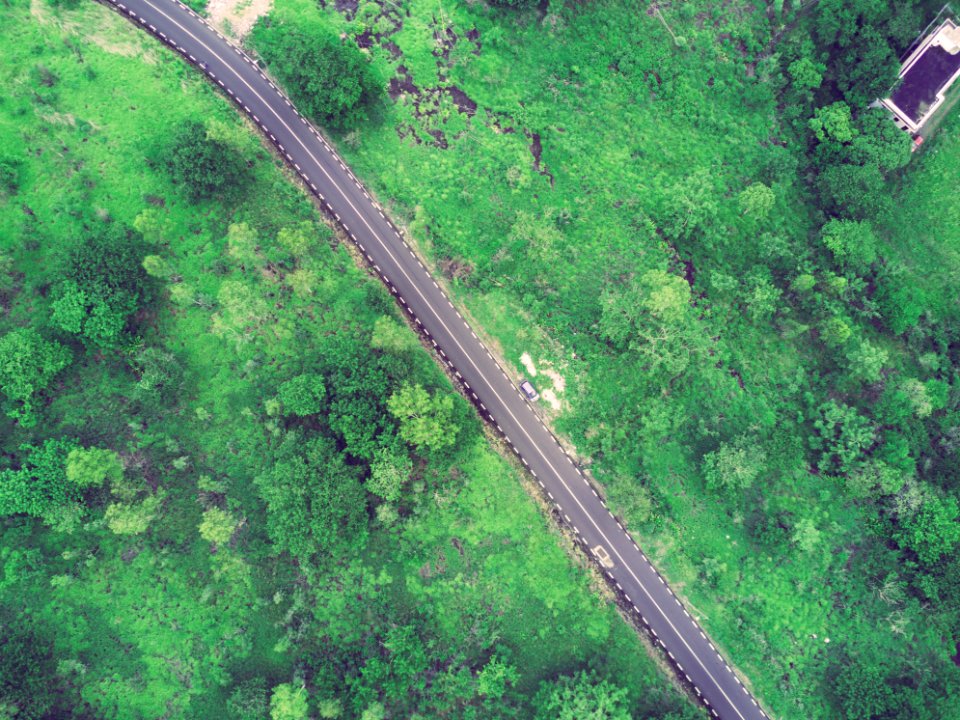 Highway, Forest, Commute photo