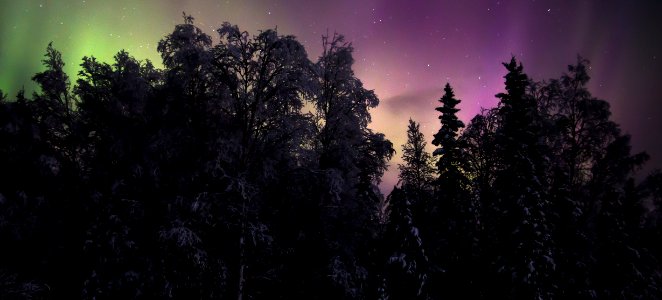 Northern lights, Night, Alaska photo