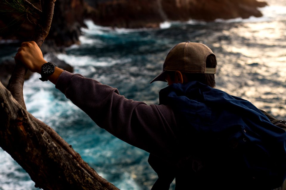 man climbing on tree