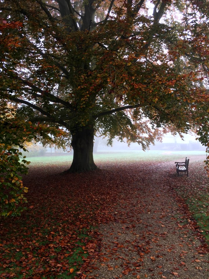 Fanhams hall hotel, Ware, United kingdom