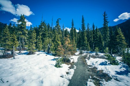 Canada, Joffre lakes trailhead, Hiking