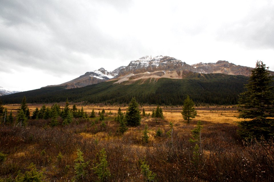 Jasper, Canada, Lake