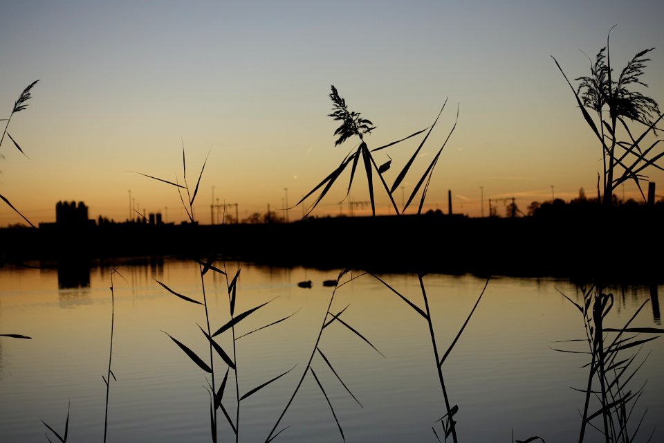 Lake, Nature, Sunset