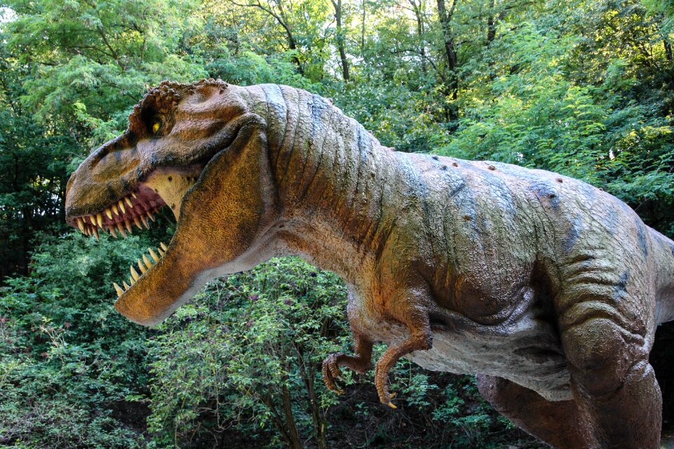 Tyranosaurus sculpture fear