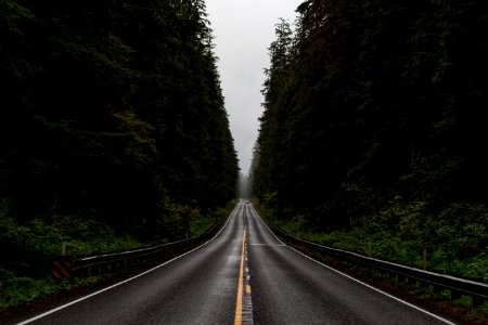 gray road between green trees photo
