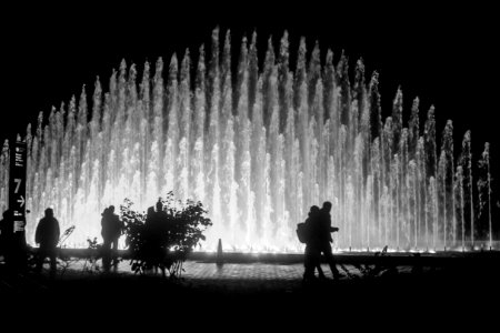 Summer, Park, Water