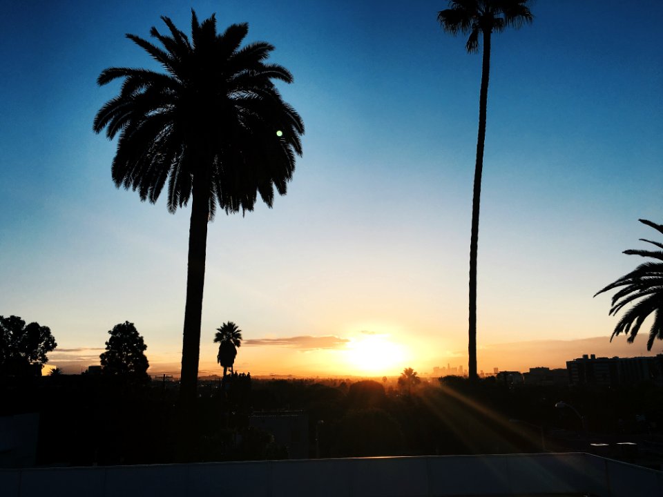 Hotel beverly terrace, Beverly hills, United states