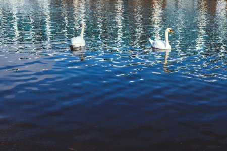 Christchurch, United kingdom, River