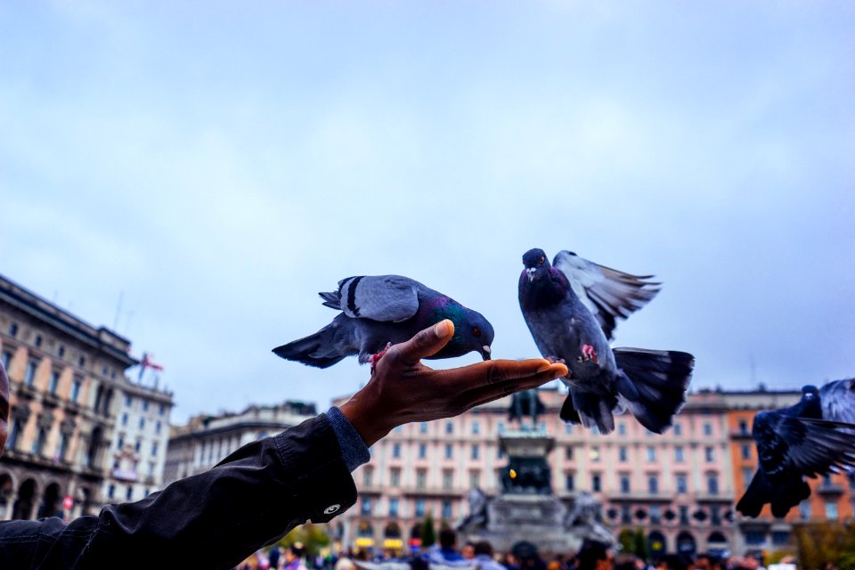 Milan, Italy, City photo