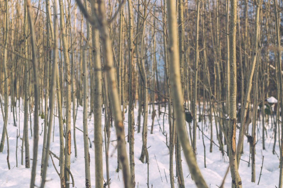 Sheffield, United kingdom, Depth