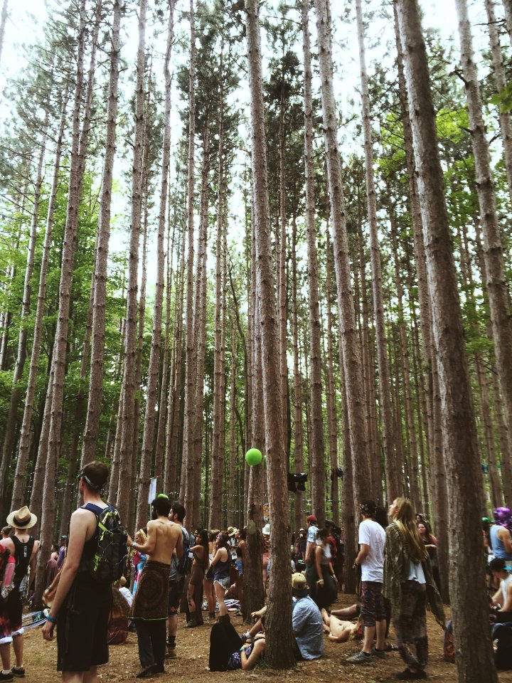 Rothbury, United states