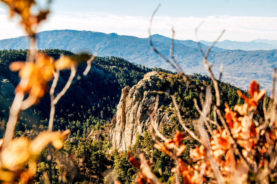 selective focus landscape photography of mountain filled with trees