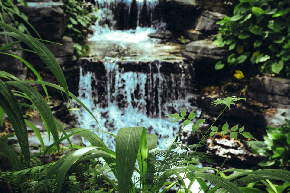Peaceful, Serenity, Paradise