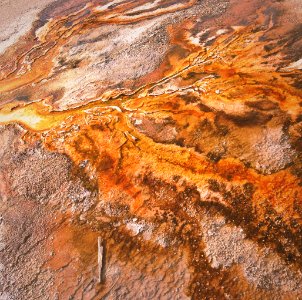 Yellowstone national park, United states, Nature