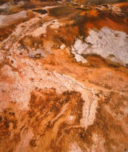 Yellowstone national park, United states, Outdoor