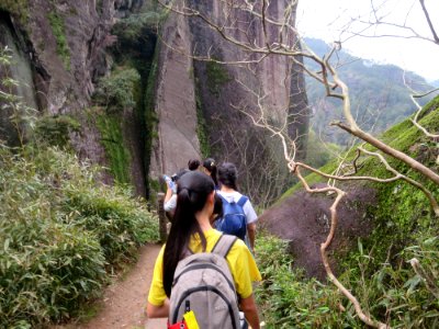 Wuyi mountain, Troop, Branch